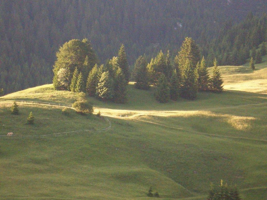 Alpenhof "Alt Laehn" Hotel Luaran gambar
